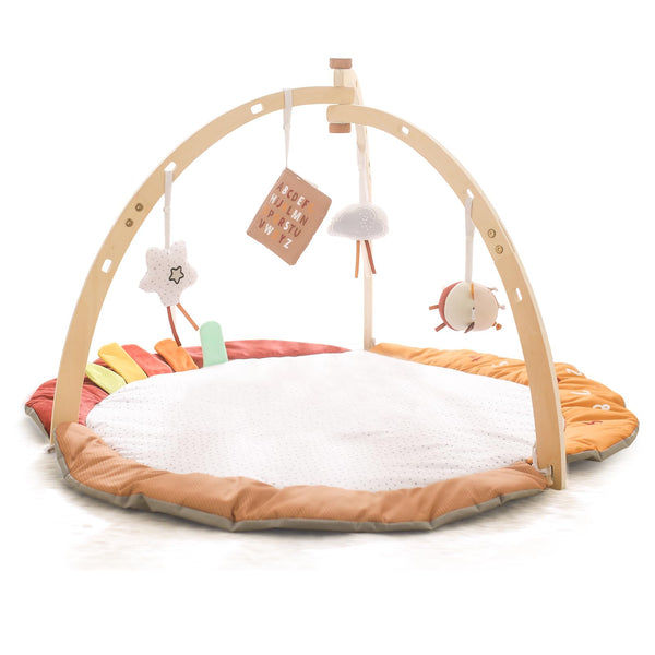 TTT Baby Play Gym